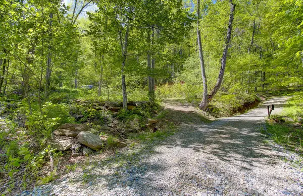 109 & 99999 Apgar Road, Candler, NC 28715
