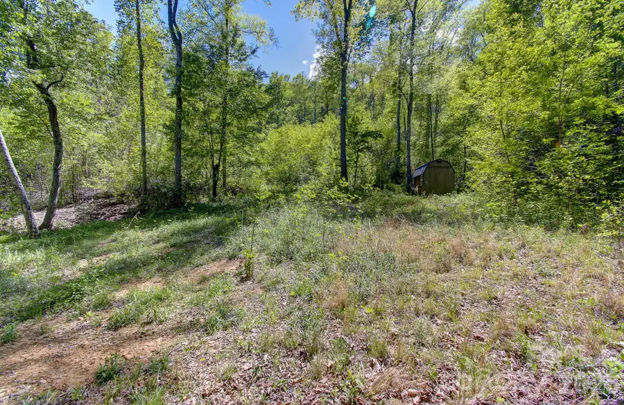 109 & 99999 Apgar Road, Candler, NC 28715 - #2