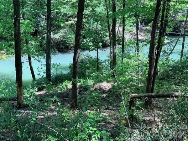 595 Quail Ridge Boulevard, Lake Lure, NC 28746