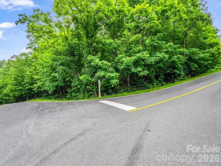 168 Tarnhill Drive, Flat Rock, NC 28731 - #2