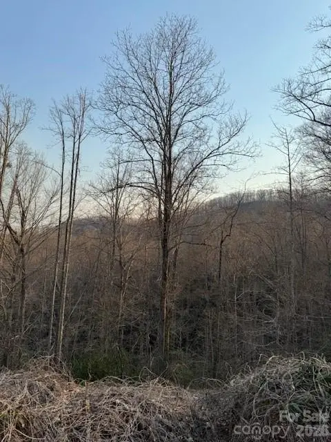 910 Morgan Hill Road, Black Mountain, NC 28711 - #1