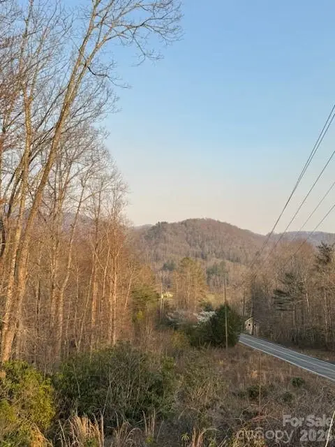 910 Morgan Hill Road, Black Mountain, NC 28711 - #2