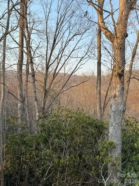 910 Morgan Hill Road, Black Mountain, NC 28711 - #3