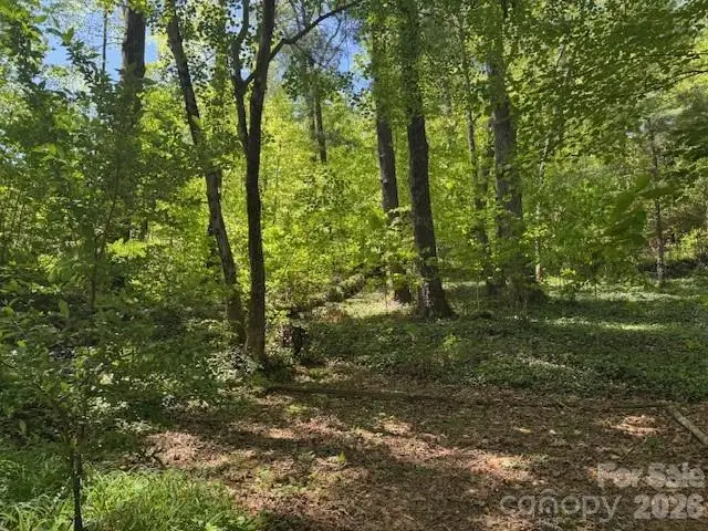 000 Skyline Drive #17, Hendersonville, NC 28791 - #2