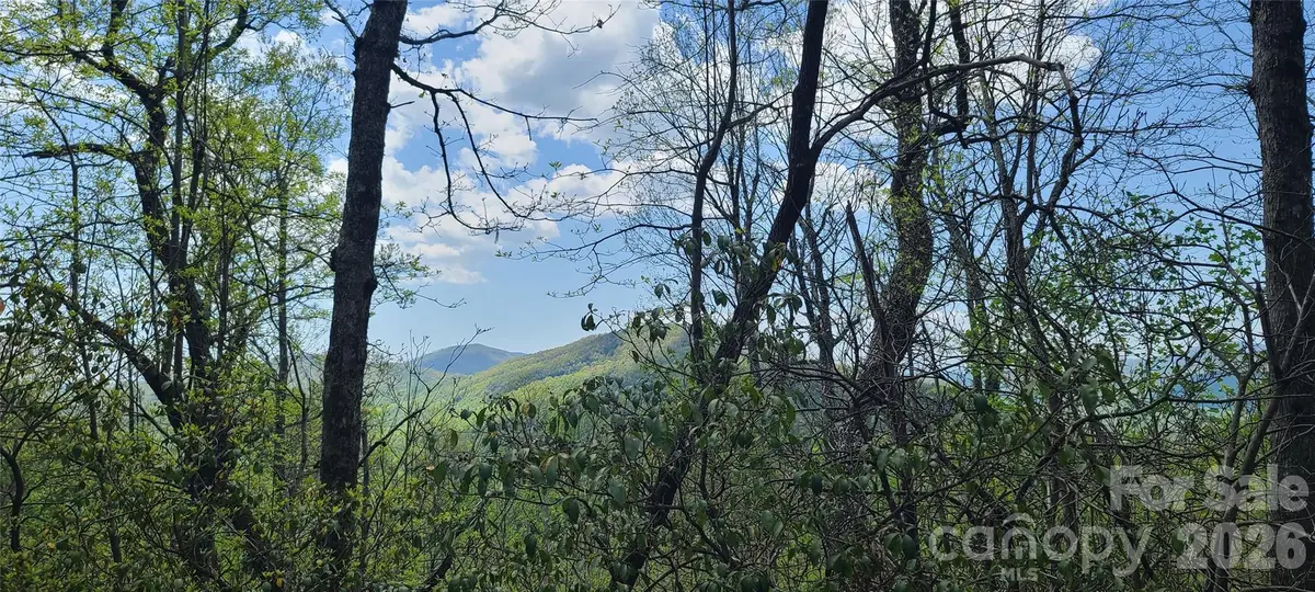 102 High Cliffs Trail, Black Mountain, NC 28711 - #1