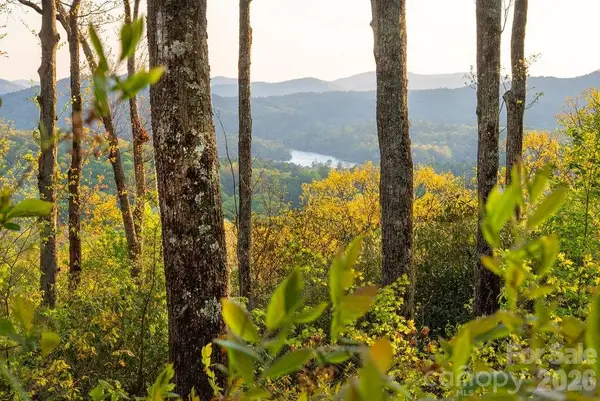 175 Skyview Road #L-5, Lake Toxaway, NC 28747