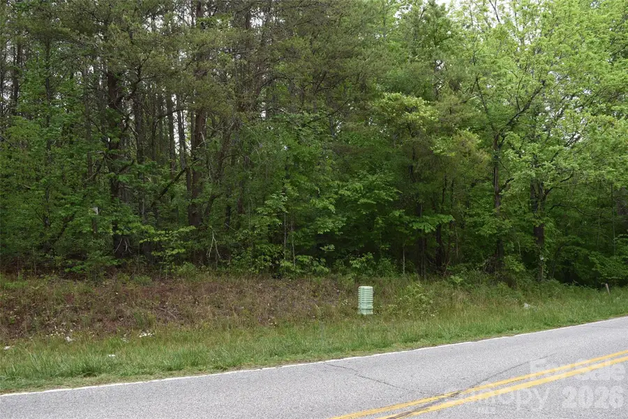 304 Moriah School Road, Casar, NC 28020 - #3