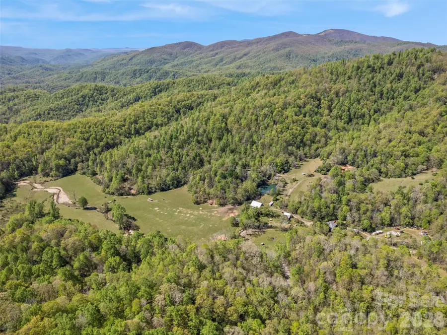 1372 Sand Branch Road, Black Mountain, NC 28711 - #2