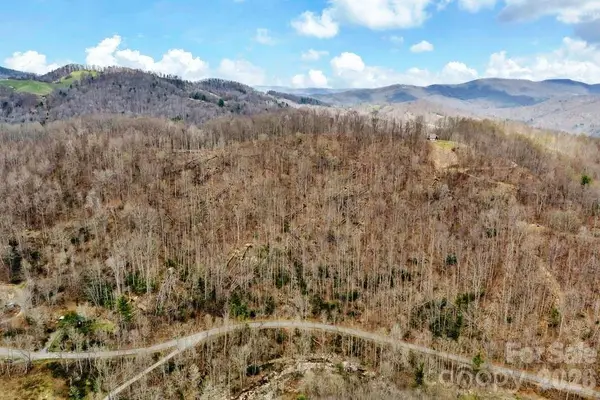 TBD Buckeye Road, Elk Park, NC 28622