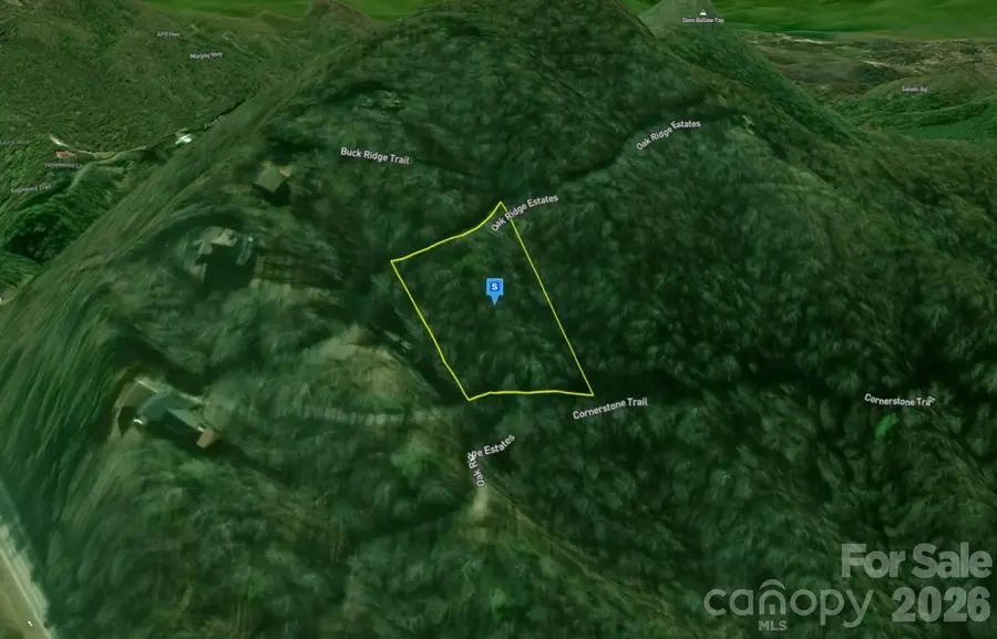 300 Oak Ridge Estate, Murphy, NC 28906 - #2