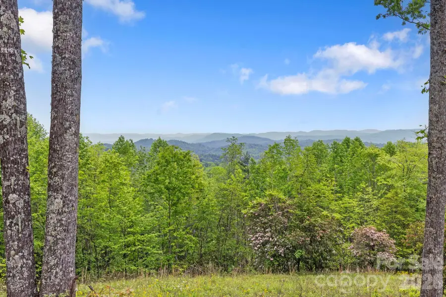 1325 Golden Road, Lake Toxaway, NC 28747 - #2