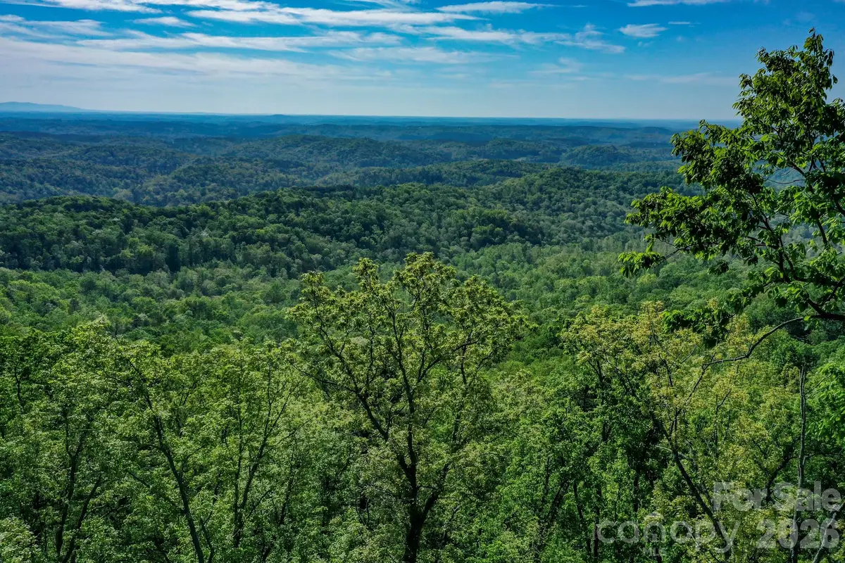 0 Bills Mountain Trail #402, Lake Lure, NC 28746 - #1