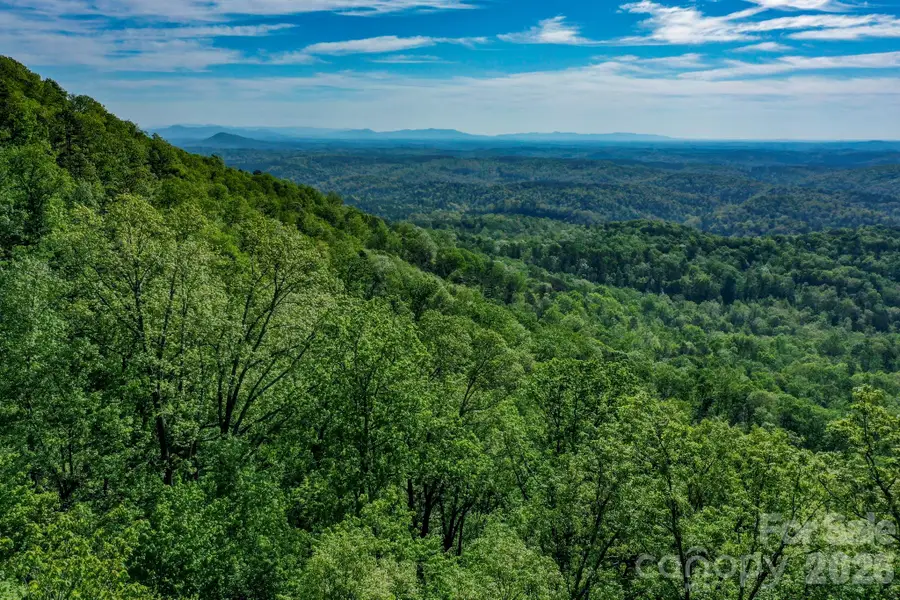 0 Bills Mountain Trail #402, Lake Lure, NC 28746 - #2