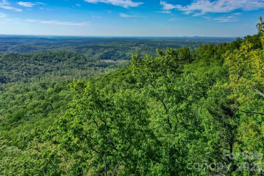 0 Bills Mountain Trail #402, Lake Lure, NC 28746 - #3