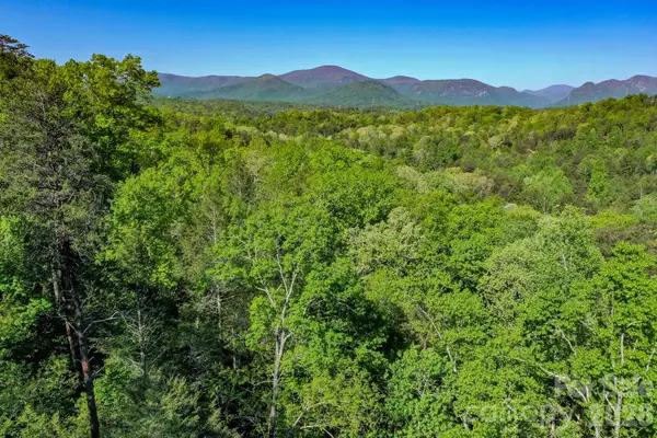 0 Willow Top Lane, Lake Lure, NC 28746