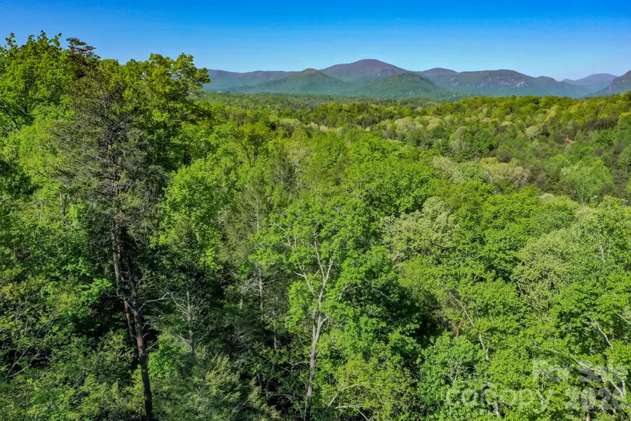 0 Willow Top Lane, Lake Lure, NC 28746 - #3
