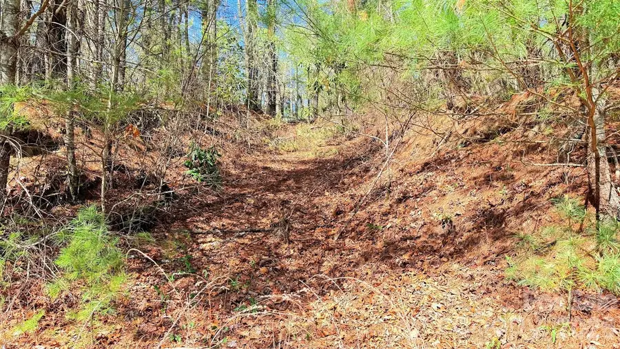 000 Jeter Mountain Road, Hendersonville, NC 28739 - #2
