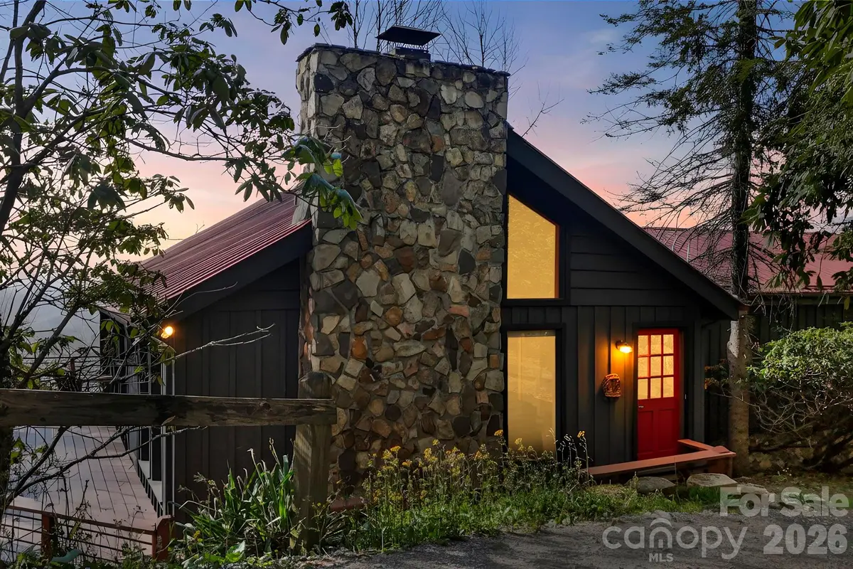 339 Granny Lewis Lane, Mars Hill, NC 28754 - #1