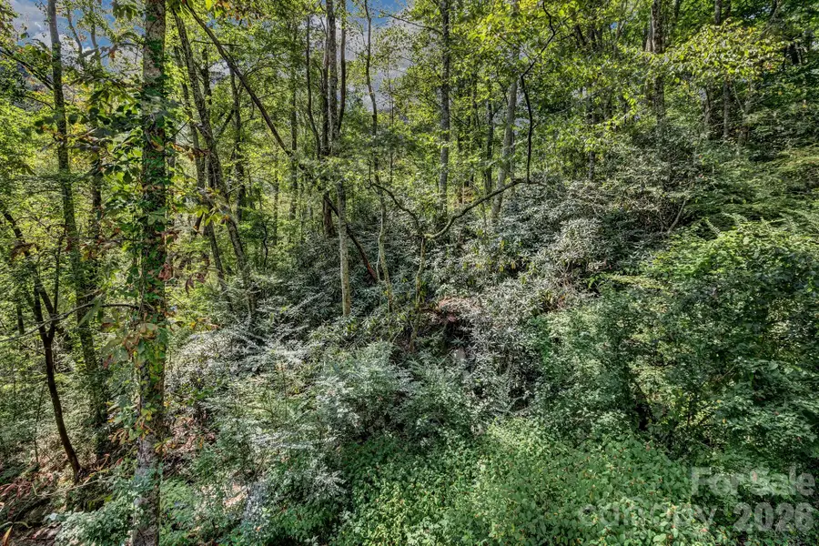 3851 Gerton Highway, Gerton, NC 28735 - #2