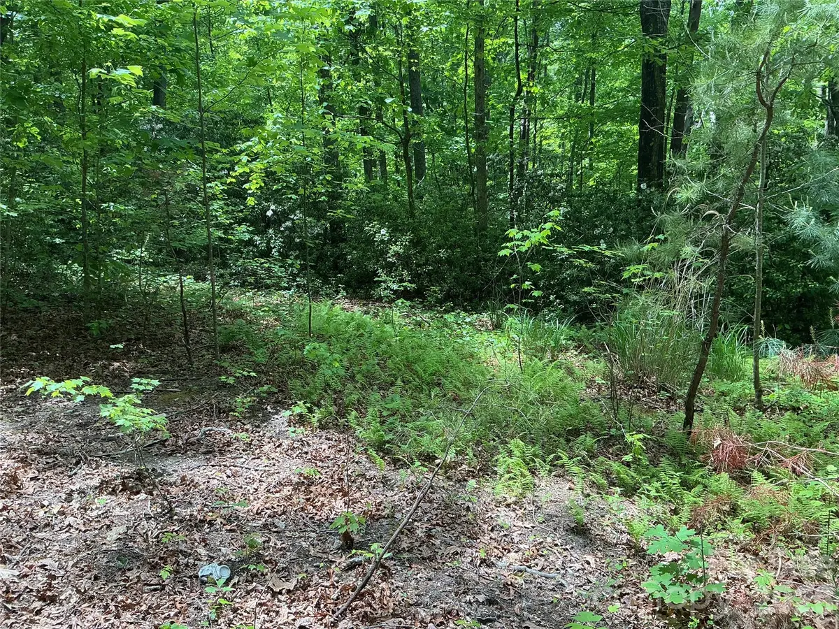 00 Green River Cove Road, Saluda, NC 28773 - #1