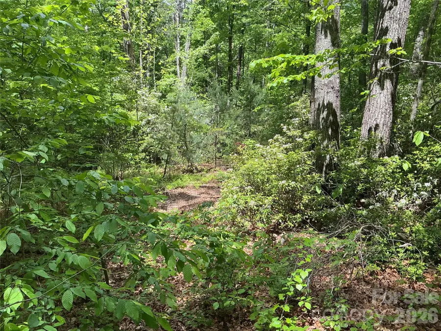 00 Green River Cove Road, Saluda, NC 28773 - #3