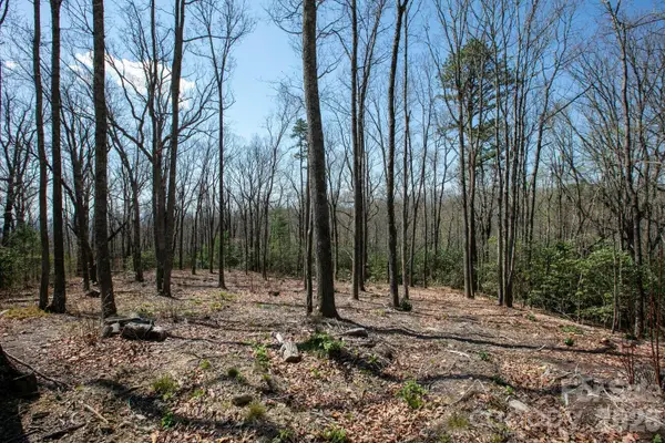 148 Spring Song Lane #6, Fletcher, NC 28732