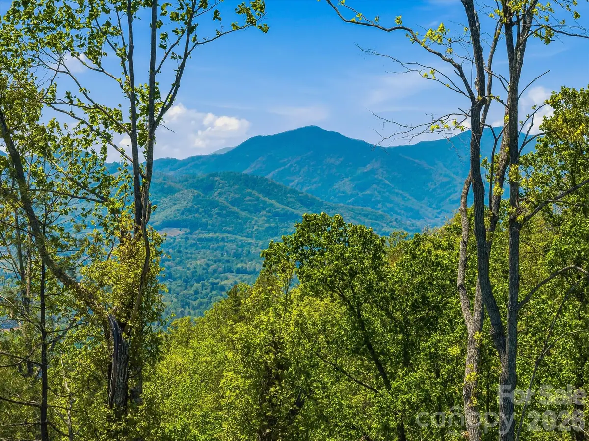 135 Starling Pass, Asheville, NC 28804 - #1
