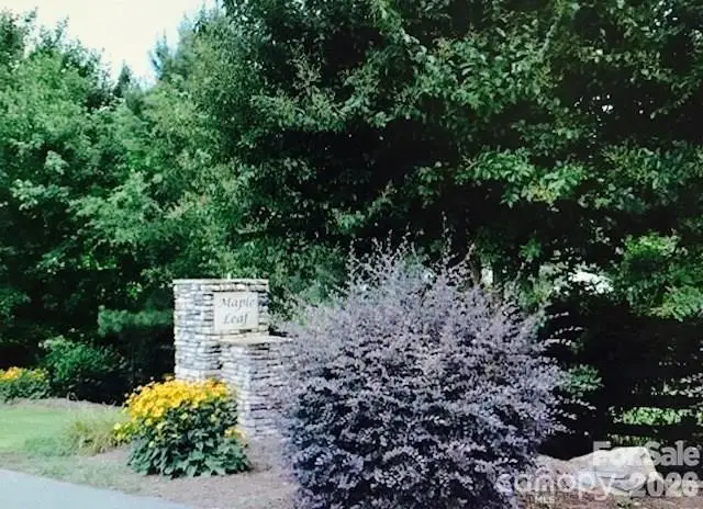 6663 Maple Spring Court #21, Denver, NC 28037 - #1