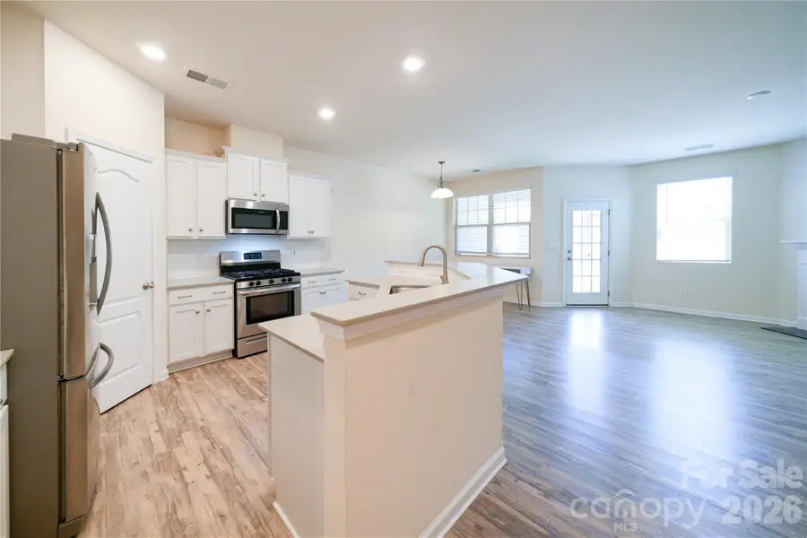 527 Common Raven Court, Fort Mill, SC 29715 - #3