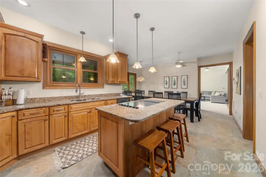 176 Hemlock Lane, Lake Lure, NC 28746 - #2