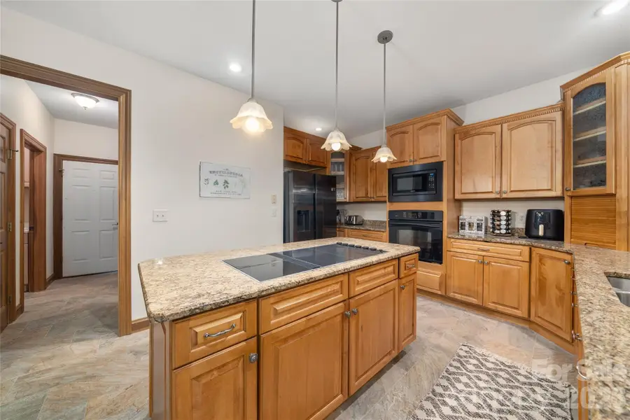 176 Hemlock Lane, Lake Lure, NC 28746 - #3