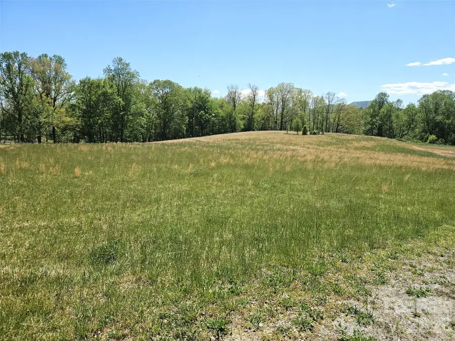 285 Mount Gilead Church Road, Mills River, NC 28759 - #3