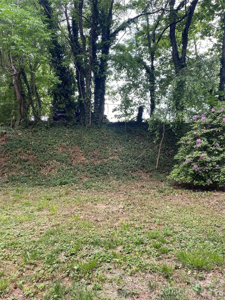 TBD Lilac Street, Asheville, NC 28806 - #3