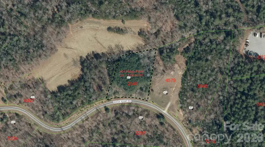 431 Ridge Point Road #7, Nebo, NC 28761 - #2
