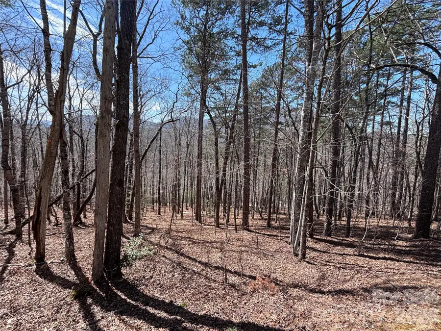Lot 55-3 Fontana Loop S, Bryson City, NC 28713 - #3