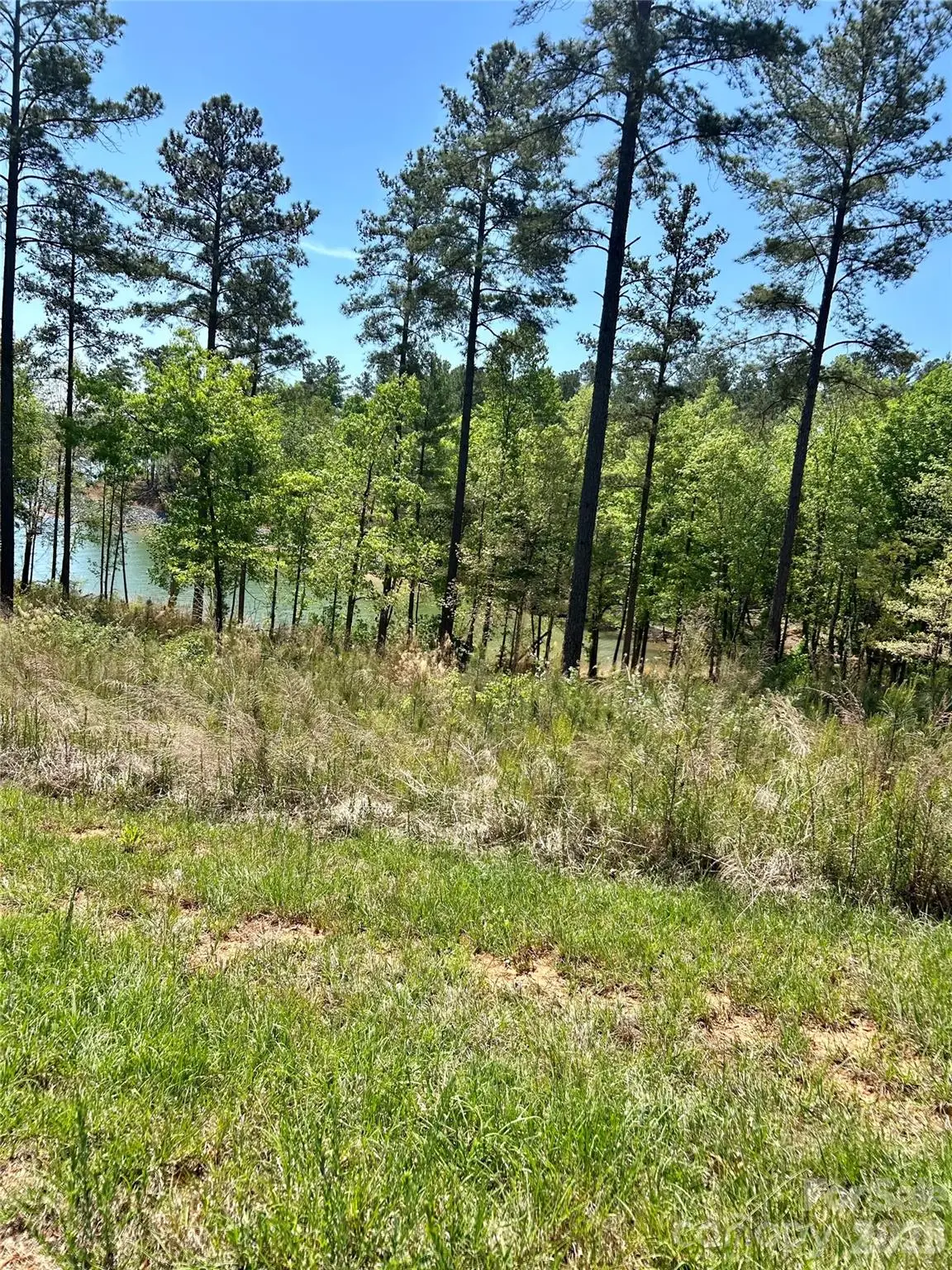 2960 Jumping Run #89, Connelly Springs, NC 28612 - #1