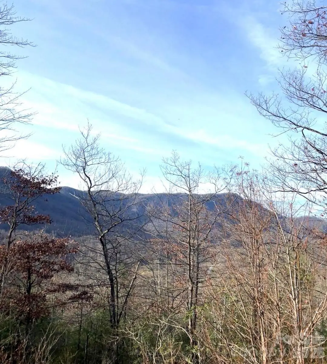 Lot 51A Wilderness Drive, Marion, NC 28752 - #1