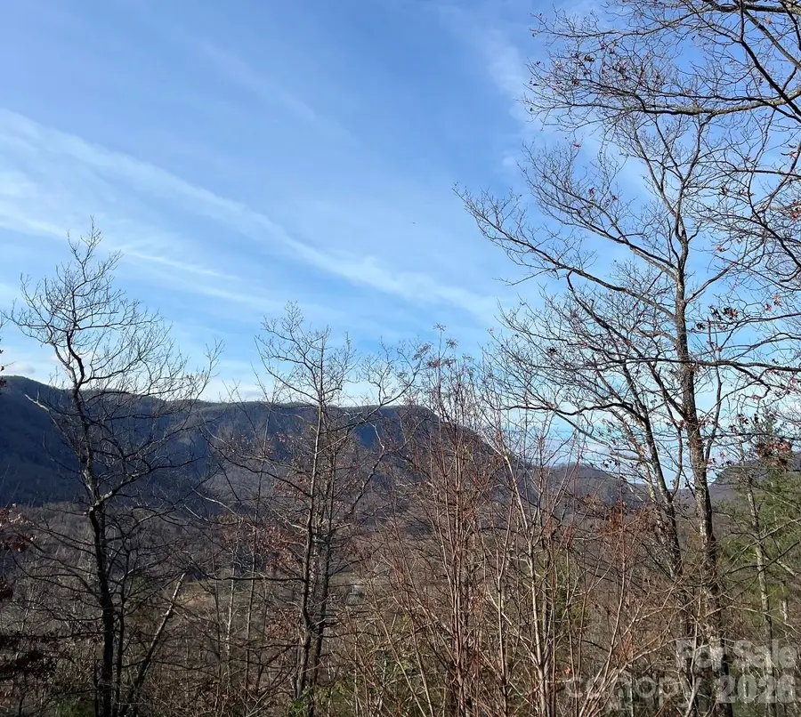 Lot 51A Wilderness Drive, Marion, NC 28752 - #2