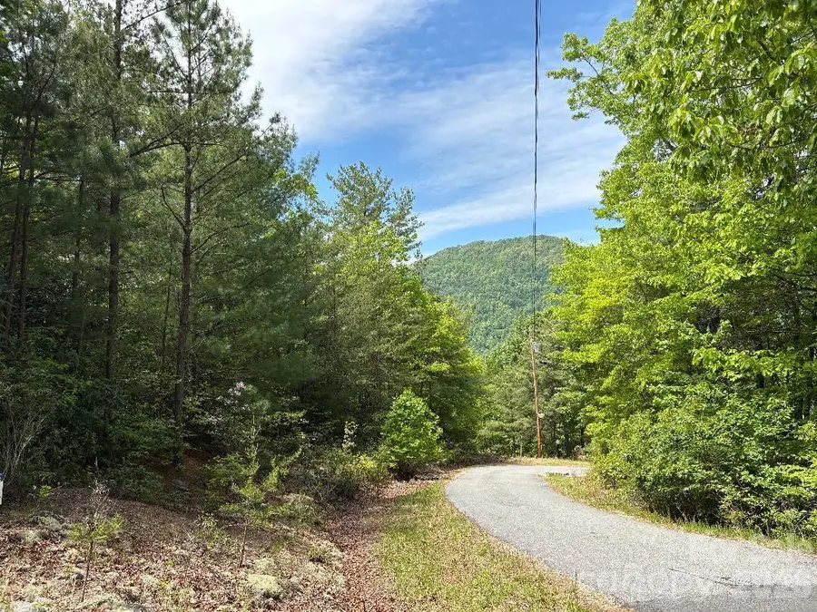 Lot 51A Wilderness Drive, Marion, NC 28752 - #3