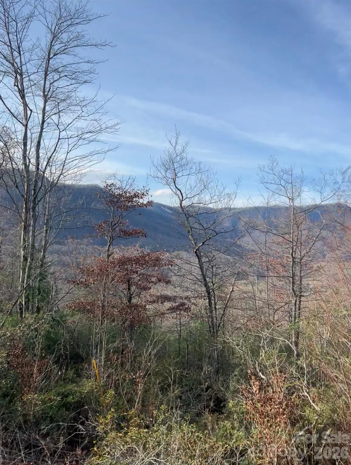 Lot 51B Wilderness Drive, Marion, NC 28752 - #1
