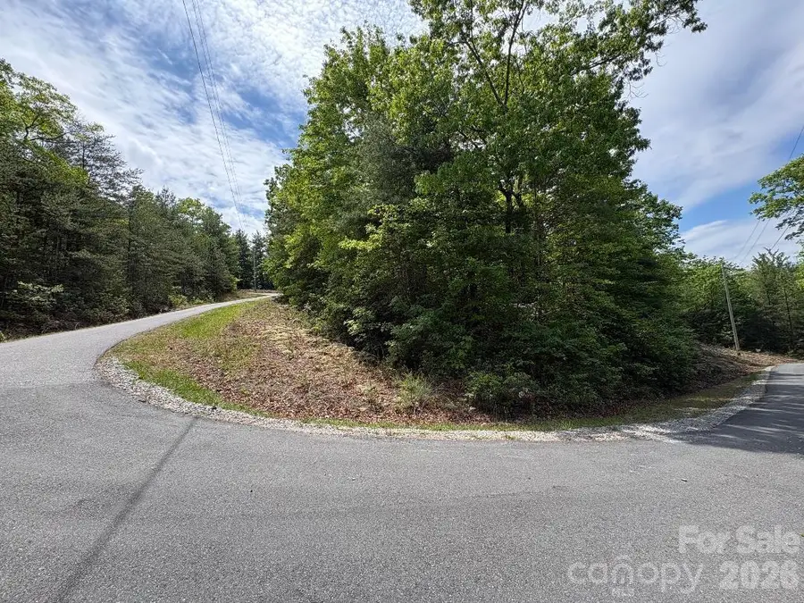 Lot 51B Wilderness Drive, Marion, NC 28752 - #3