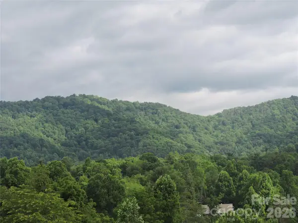 60 Gins Lane #lot 11, Mars Hill, NC 28754