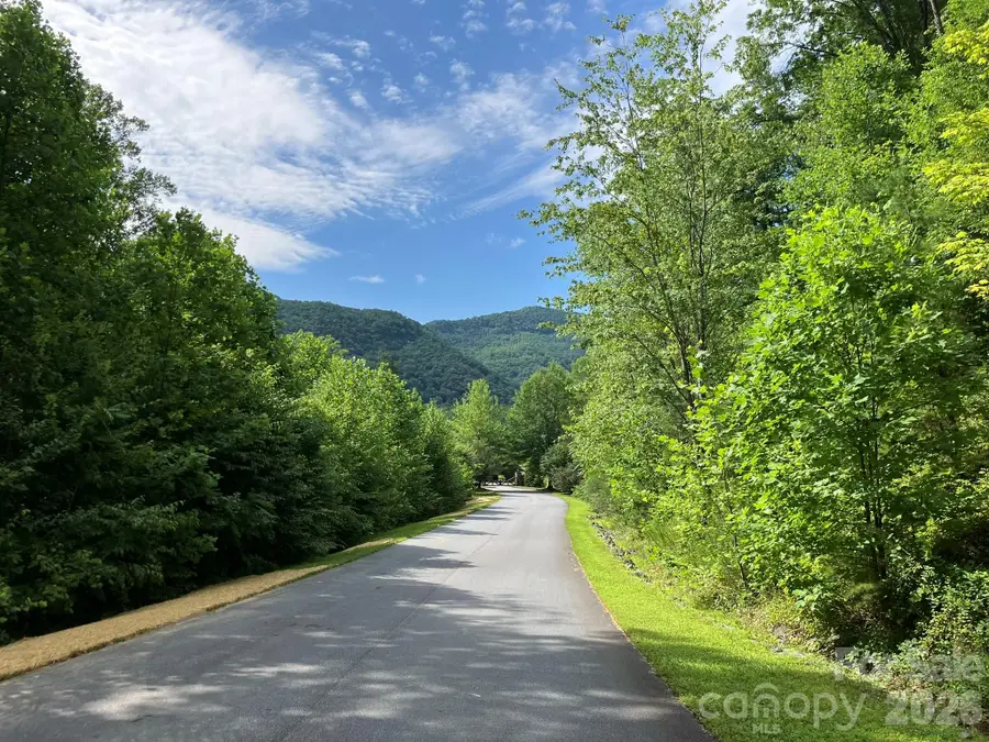 0 Rolling Ridge Trail #315, Lake Lure, NC 28746 - #3