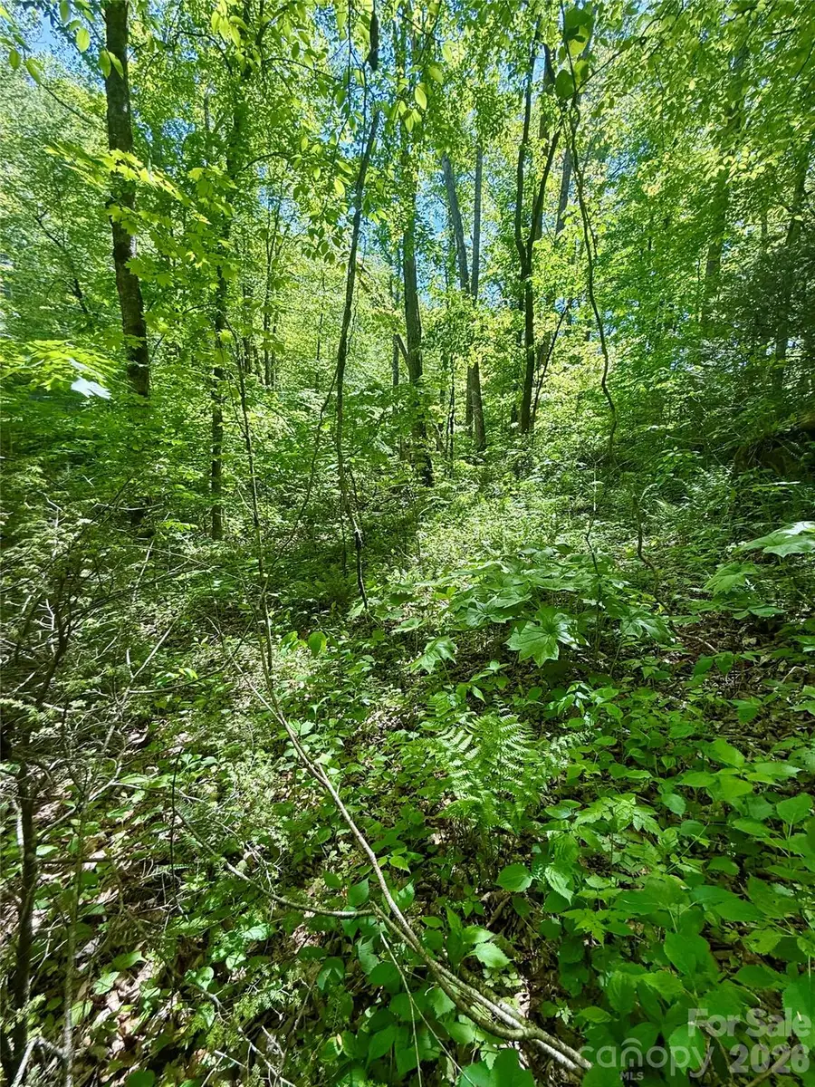 TBD Highway 107 None N #Lot 1, Glenville, NC 28736 - #2