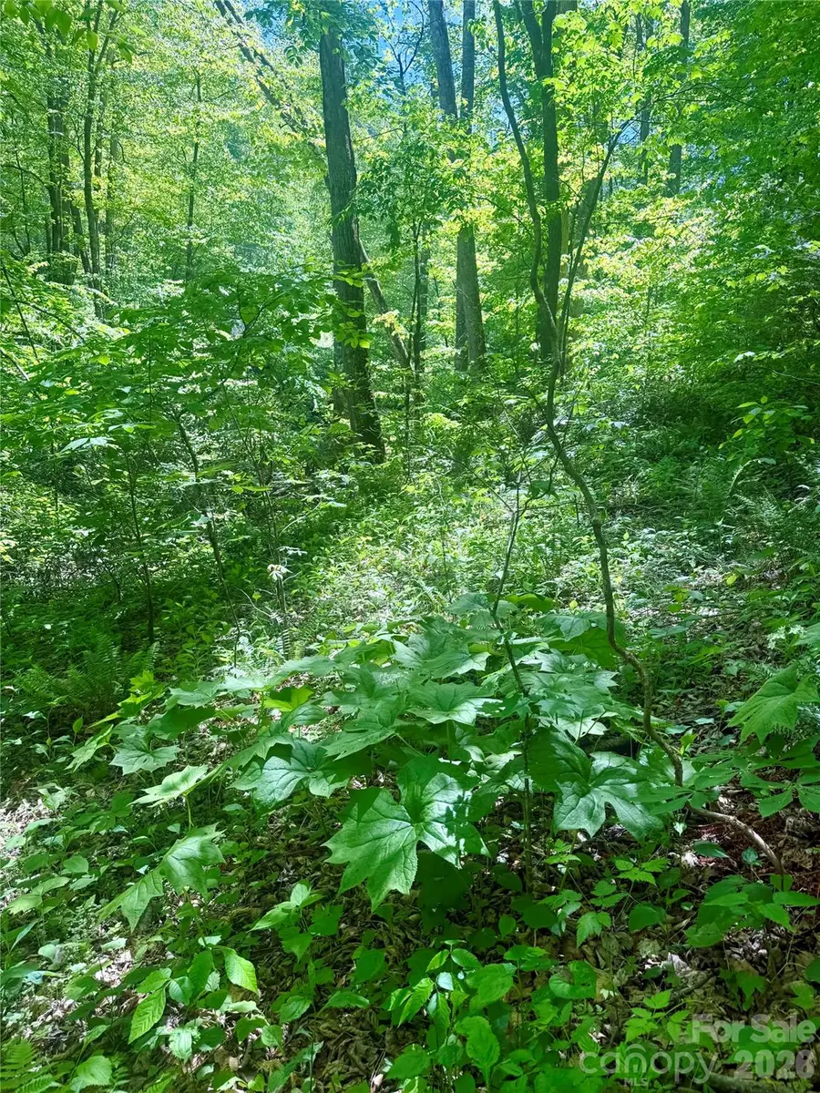 TBD Highway 107 None N #Lot 1, Glenville, NC 28736 - #3
