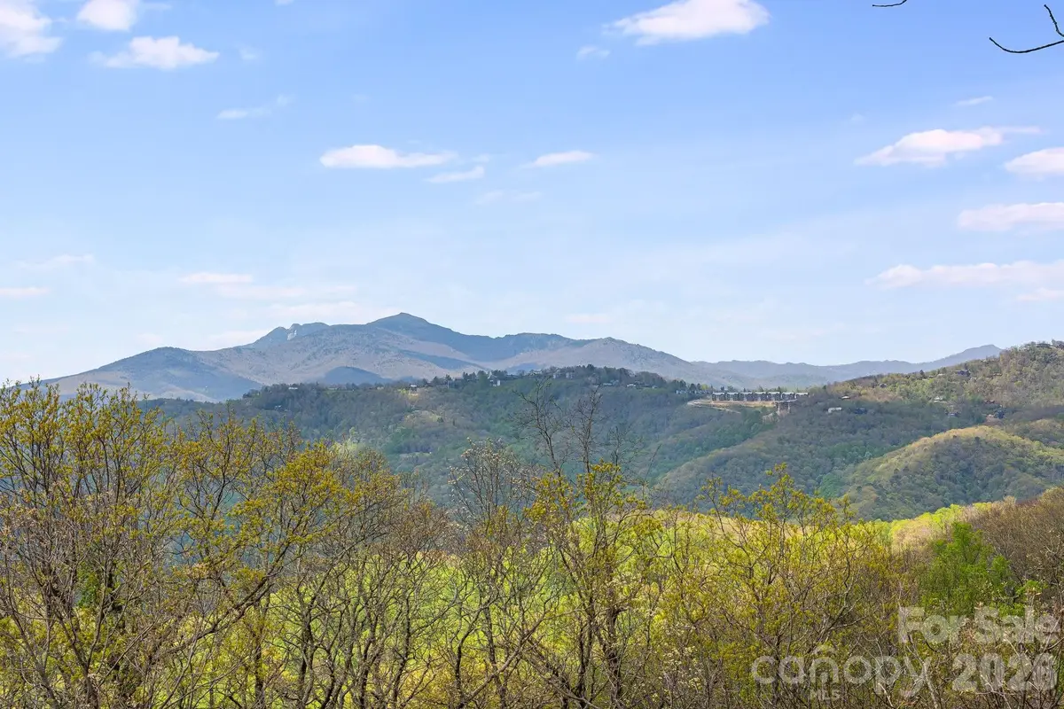 206 Twin Springs Road, Blowing Rock, NC 28605 - #1