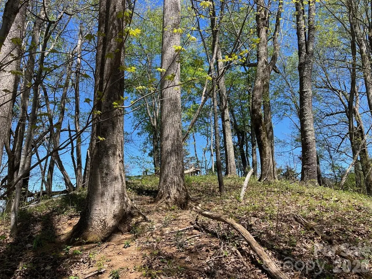 0 Crackin Chestnut Lane, Sylva, NC 28779 - #1