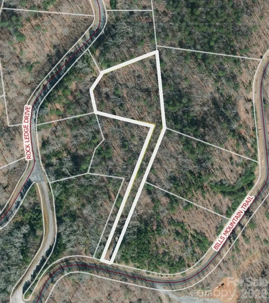 0 Bills Mountain Trail #272, Lake Lure, NC 28746 - #3