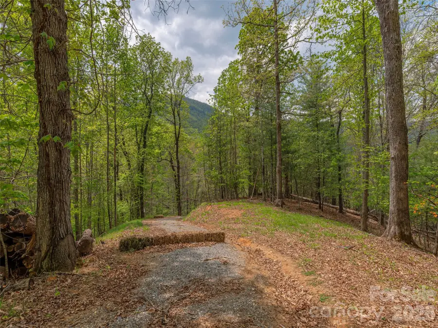 000 Caney Fork Road, Cullowhee, NC 28723 - #3