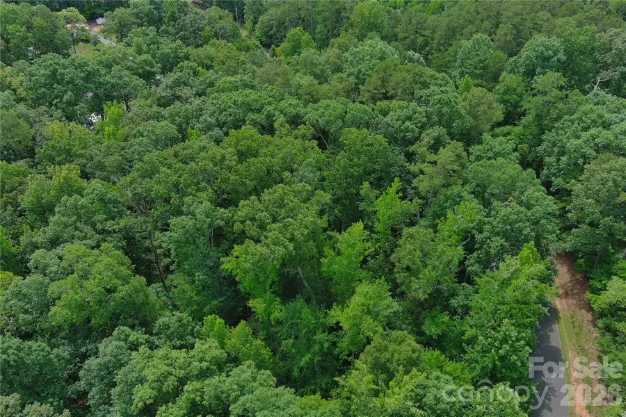 247 Millwheel Lane, Mount Gilead, NC 27306 - #3